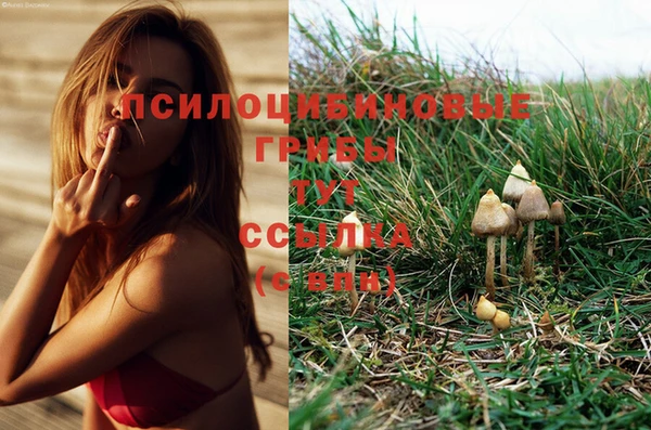 хмурый Армянск