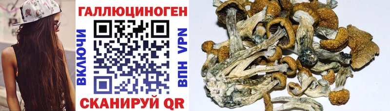 Галлюциногенные грибы Magic Shrooms  Верхнеуральск 